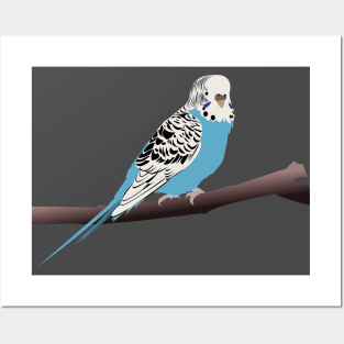 Blue Budgie Posters and Art